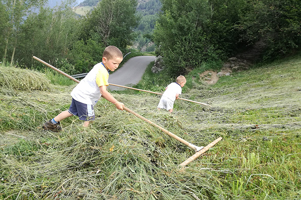Hay work at the Patleidhof